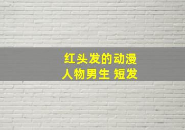 红头发的动漫人物男生 短发